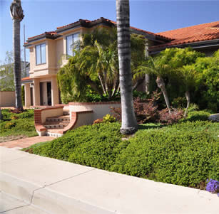 Ocean View Garden